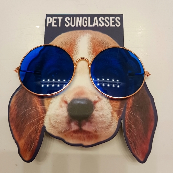 Pet sunglasses 🥰😝💖
